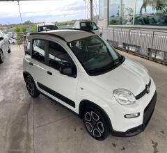 Auto - Fiat panda 1.0 firefly s&s hybrid city life