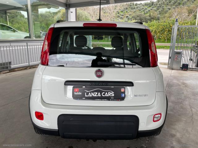 Auto - Fiat panda 1.0 firefly s&s hybrid city life