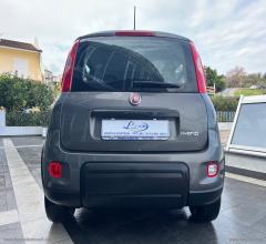 Auto - Fiat panda 1.0 firefly s&s hybrid city life