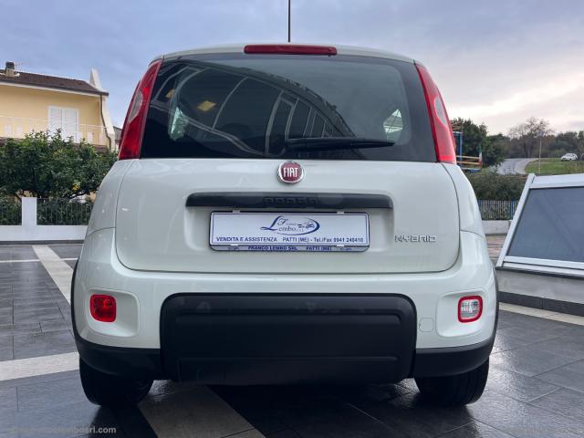 Auto - Fiat panda 1.0 firefly s&s hybrid city life