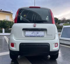 Auto - Fiat panda 1.0 firefly s&s hybrid city life