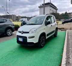 Auto - Fiat panda 1.0 firefly s&s hybrid city life