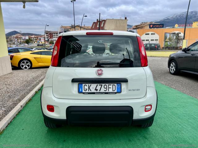 Auto - Fiat panda 1.0 firefly s&s hybrid city life