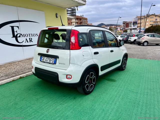 Auto - Fiat panda 1.0 firefly s&s hybrid city life