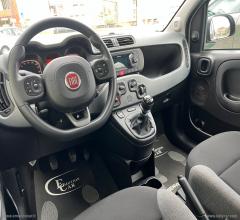 Auto - Fiat panda 1.0 firefly s&s hybrid city life