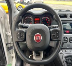 Auto - Fiat panda 1.0 firefly s&s hybrid city life