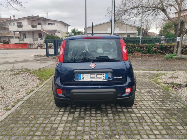 Auto - Fiat panda 1.0 firefly s&s hybrid city life