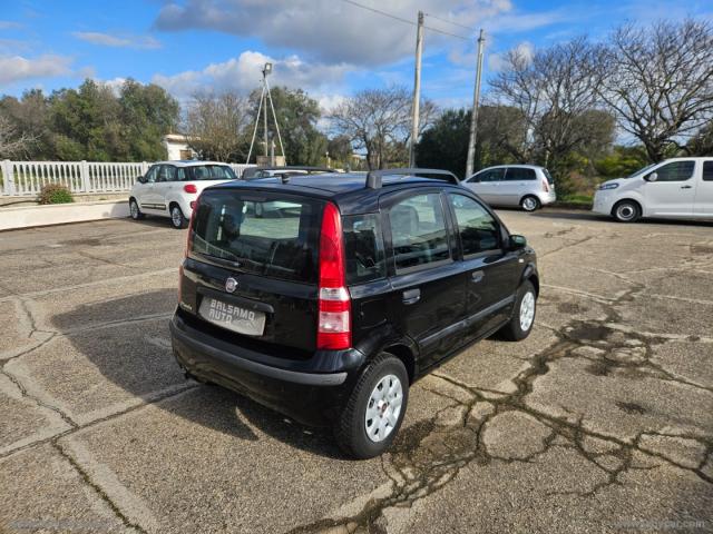 Auto - Fiat panda 1.2 dynamic gpl