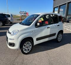 Auto - Fiat panda 0.9 twinair s&s 4x4 pop van 2 p.ti