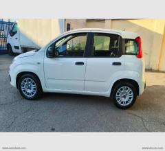 Auto - Fiat panda 1.0 firefly s&s hybrid