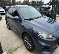 Auto - Ford kuga 1.5 ecoblue 120 cv 2wd st-line