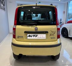 Auto - Fiat panda 1.2 dynamic natural power