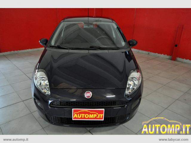 Auto - Fiat punto 1.2 8v 5p. young