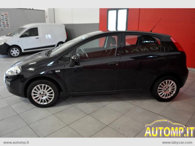 Auto - Fiat punto 1.2 8v 5p. young