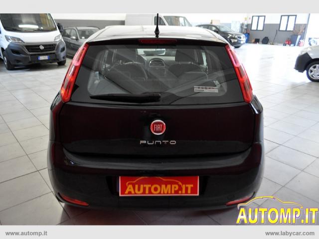 Auto - Fiat punto 1.2 8v 5p. young