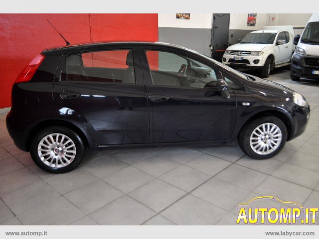 Auto - Fiat punto 1.2 8v 5p. young