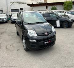 Auto - Fiat panda 1.0 firefly s&s hybrid