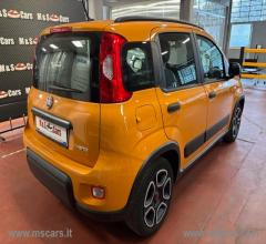 Auto - Fiat panda 1.0 firefly s&s hybrid city life