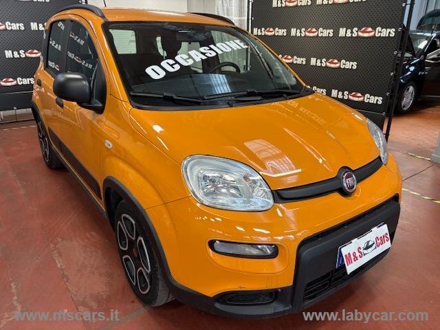 Auto - Fiat panda 1.0 firefly s&s hybrid city life