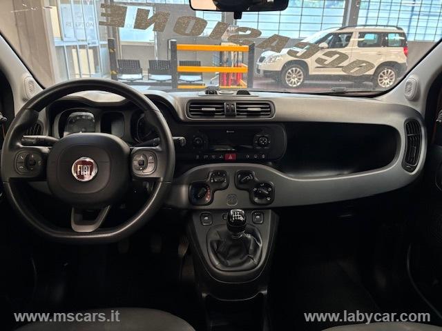 Auto - Fiat panda 1.0 firefly s&s hybrid city life