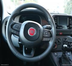 Auto - Fiat panda 1.0 hybrid sport noleggio breve termine