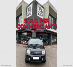 Auto - Fiat panda 1.3 mjt 16v 4x4 climbing