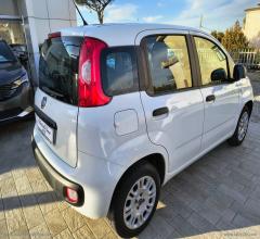 Auto - Fiat panda 1.2 easy