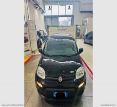 Auto - Fiat panda 1.0 70 cv hybrid pandina