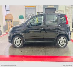 Auto - Fiat panda 1.0 70 cv hybrid pandina