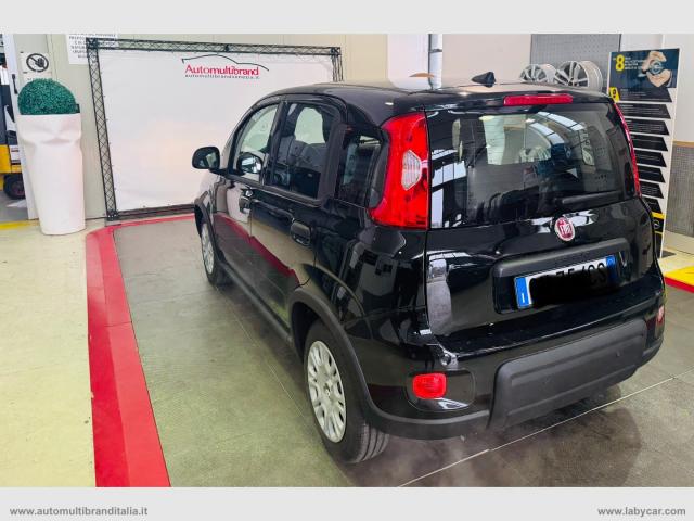 Auto - Fiat panda 1.0 70 cv hybrid pandina