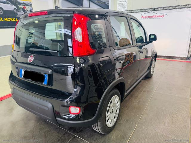 Auto - Fiat panda 1.0 70 cv hybrid pandina