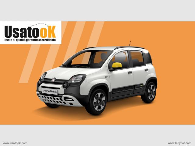 Auto - Fiat panda cross 1.0 firefly s&s hybrid