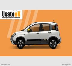 Auto - Fiat panda cross 1.0 firefly s&s hybrid