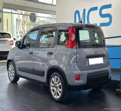 Auto - Fiat panda 1.0 firefly s&s hybrid city life