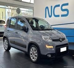 Auto - Fiat panda 1.0 firefly s&s hybrid city life