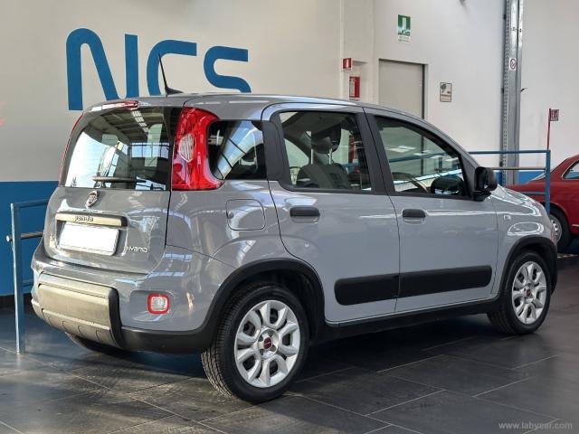 Auto - Fiat panda 1.0 firefly s&s hybrid city life