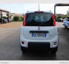 Auto - Fiat panda 1.0 firefly s&s hybrid city life