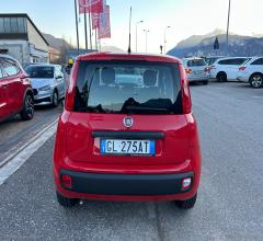 Auto - Fiat panda 1.0 firefly s&s hybrid