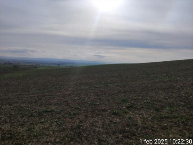 Terreno agricolo in vendita a cerignola moschella