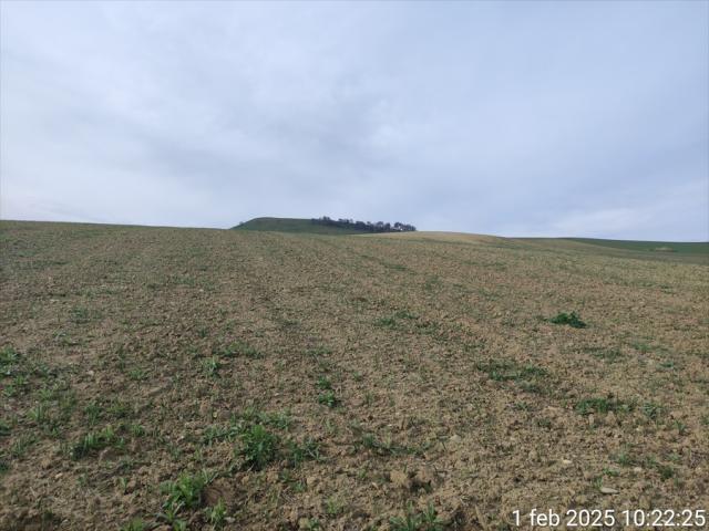 Appartamenti in Vendita - Terreno agricolo in vendita a cerignola moschella