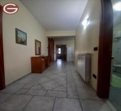 Appartamenti in Vendita - Casa indipendente in vendita a cittanova periferia