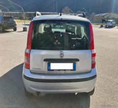 Auto - Fiat panda 1.2 bz 69cv dynamic