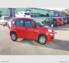 Auto - Fiat panda 1.2 s&s easy 5 posti