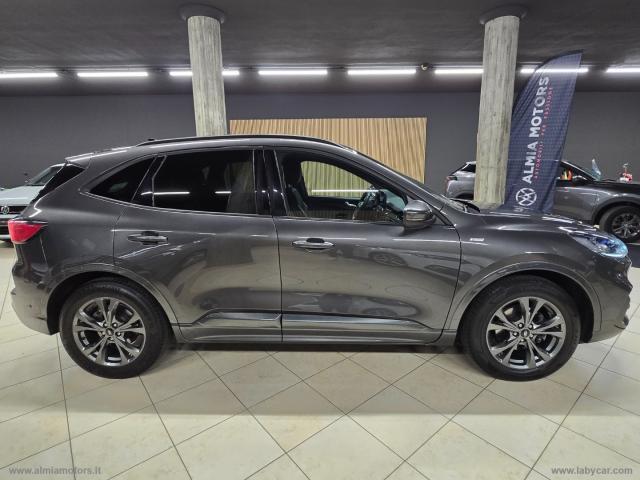 Auto - Ford kuga 1.5 ecoboost 150 cv 2wd st-line x