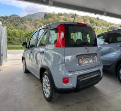 Auto - Fiat panda 1.0 firefly s&s hybrid