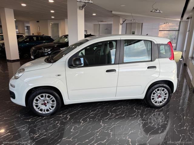 Auto - Fiat panda 1.2 trussardi