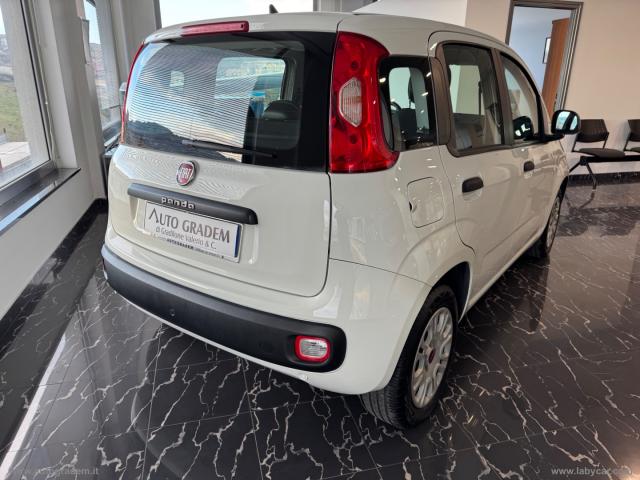 Auto - Fiat panda 1.2 trussardi
