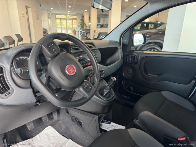 Auto - Fiat panda 1.2 trussardi