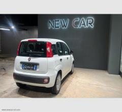 Auto - Fiat panda 1.3 mjt 95 cv s&s easy