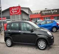 Fiat panda 1.0 firefly s&s hybrid 5 posti